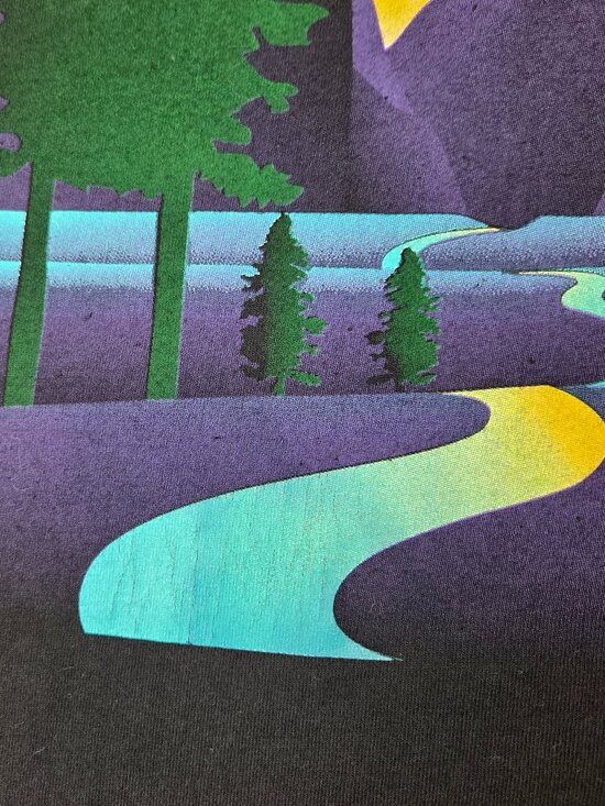 VTG Yosemite National Park Hanes Heavyweight Tee Mens Size L Single Stitch - Picture 4 of 5